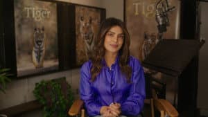 Tigres — foto 4