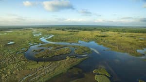 National Parks Exploration Series: The Everglades — foto 1