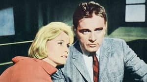 The Sandpiper — foto 3