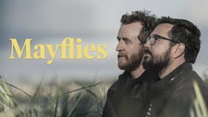 Mayflies — foto 2
