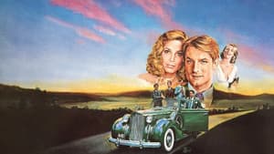 The Last Convertible — foto 2