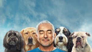 Cesar Millan: Better Human, Better Dog — foto 5