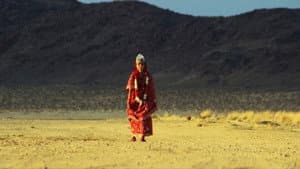 Cowboy and Indian — foto 1