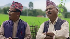 डिग्री माइला — foto 6