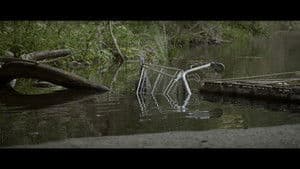 Episodio 6