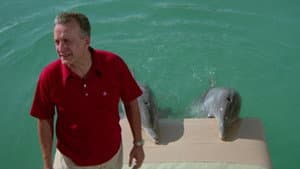 The Day of the Dolphin — foto 1