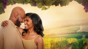 Napa Ever After — foto 4