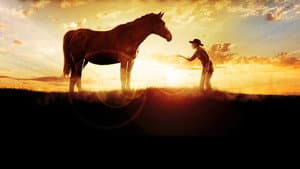 The Wild Stallion — foto 2
