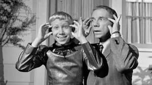 My Favorite Martian — foto 4