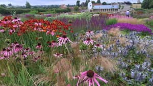 Five Seasons: The Gardens of Piet Oudolf — foto 3