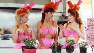 Buford's Beach Bunnies — foto 3