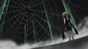 Medusa Revive: Araña y Serpiente, ¿Un Encuentro Predestinado?