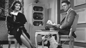 The Thin Man — foto 1