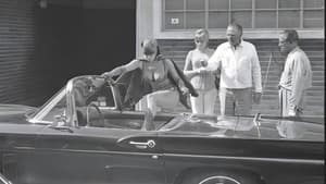 La mujer murciélago — foto 1