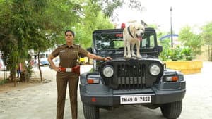 டேனி — foto 5