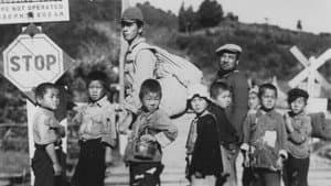 蜂の巣の子供たち — foto 2