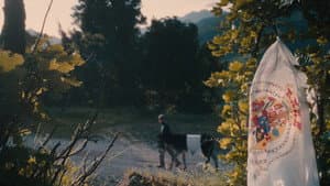 I giorni della Merla — foto 1
