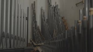 ORGAN — foto 2