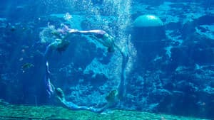Mermaids — foto 6