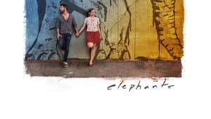 Elephants — foto 7