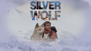 Colmillo blanco, las nuevas aventuras — foto 3