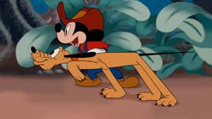 Mickey Down Under — foto 4