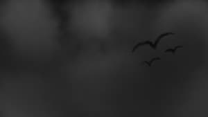 The Grudge — foto 1