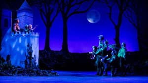 Sprookjesboom de Musical — foto 3