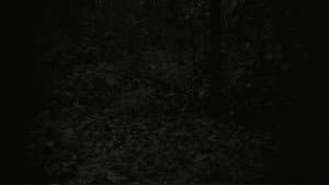 They Can Be Seen From A Distance — foto 1