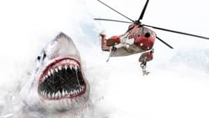 Ice Sharks — foto 2