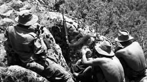 Les appelés de la guerre d’Algérie, un si long silence — foto 1