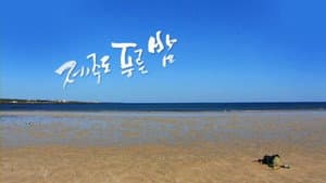 드라마 시티: 제주도 푸른밤 — foto 1