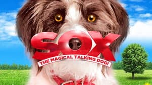 Sox: A Family's Best Friend — foto 1
