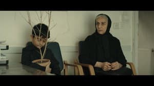 Anaar — foto 5