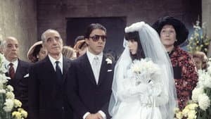 Alfredo, Alfredo — foto 5