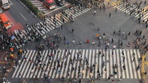 De la luz y de las sombras — foto 9