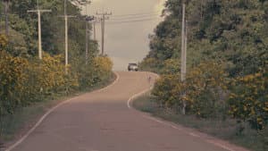 Dissolve to the Pastroad — foto 2