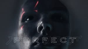 Perfect — foto 8