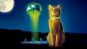 The Cat from Outer Space — foto 7