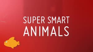 Animales superdotados — foto 3