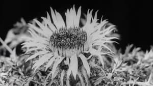 Floral Co-operative Societies — foto 1
