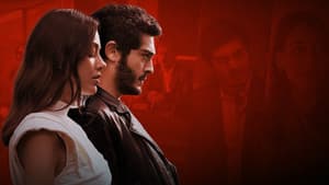 Yarım Kalan Aşklar — foto 12