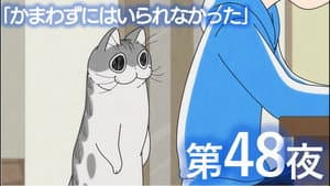 Episodio 48