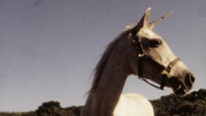 I Believe in Unicorns — foto 5