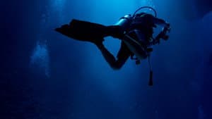 Nazi Sunken Sub — foto 4
