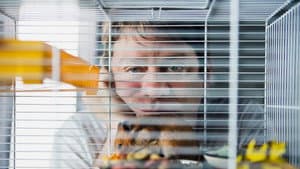 Der Hamster — foto 1