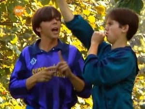 Episodio 7