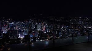 겨울날들 — foto 1