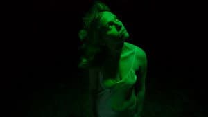 Night Spider — foto 2