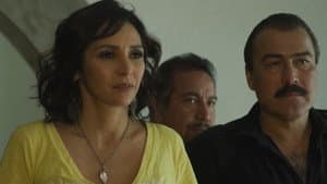 Las amantes del narco III — foto 8